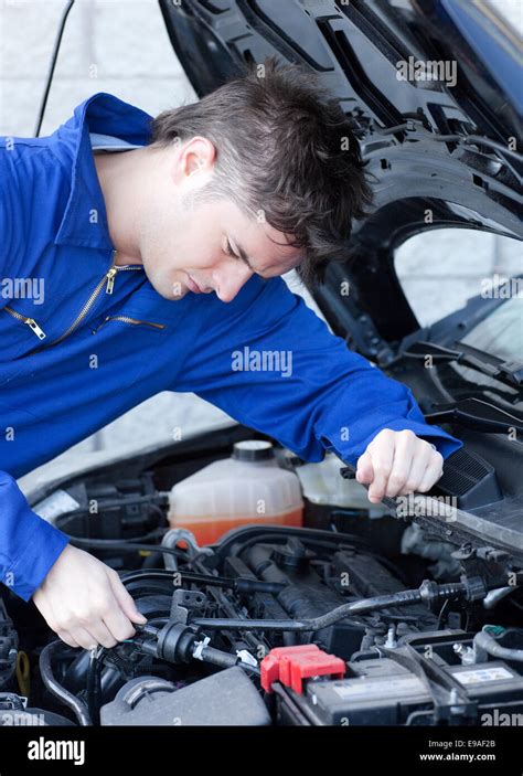 Image result for Auto Self Reparation