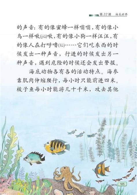 我的第一本海洋生物大驚奇 (85折) | 小書蟲童書坊 繪本的家