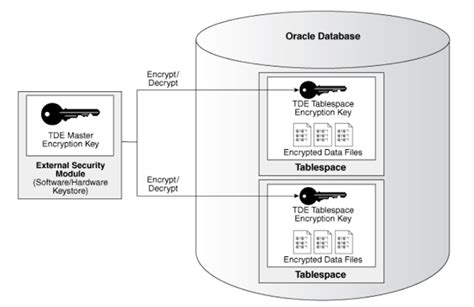 Oracle Database Encryption 12C 的图像结果