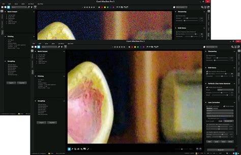 Raw Photo Editing 的图像结果
