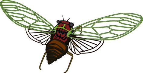 Image result for Java JVM OS