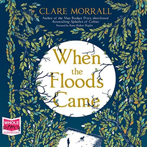 When the Floods Came (Audio Download): Clare Morrall, Georgia Maguire ...