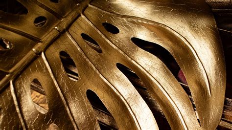 Download wallpaper 1920x1080 monstera, leaf, gold, plant full hd, hdtv ...