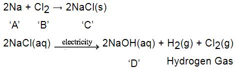NCERT Exemplar: Metals and Non-metals - Science Class 10 PDF Download