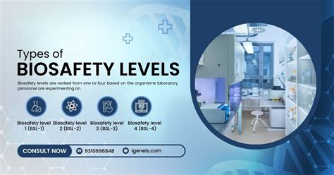 Image result for Biosafety level Types