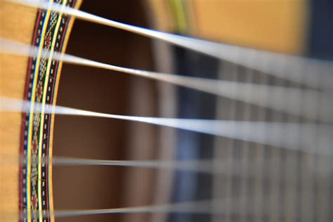 Image result for Free Images of String Instruments