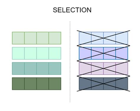 Image result for Genetic Algorithms Python Examples