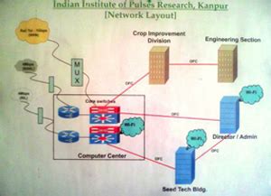 Indian Institute of Pulses Research