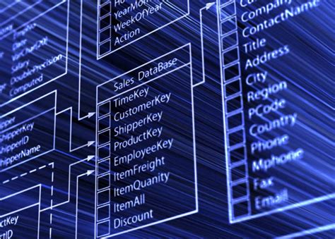 Base De Donnees Java 的图像结果