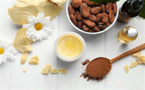 Cocoa Butter: The Saviour For Dry Skin – SkinKraft