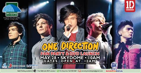 Image result for One Direction Concert Fan Project