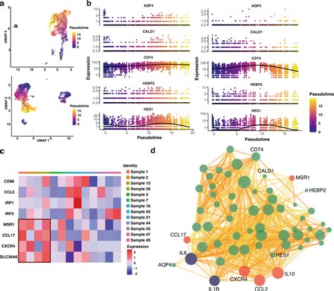 Diffusion Maps Pseudo-Time 的图像结果