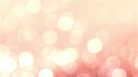 Home | CalvertWellPetClinic