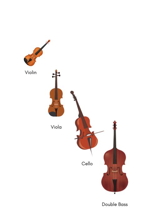 Image result for String Instruments Explained for Children