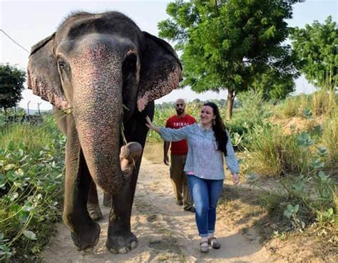 No.1 Place To Visit In Jaipur - Elefantastic