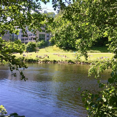 AKERSELVA MILJOPARK (2025) All You Need to Know BEFORE You Go (with ...