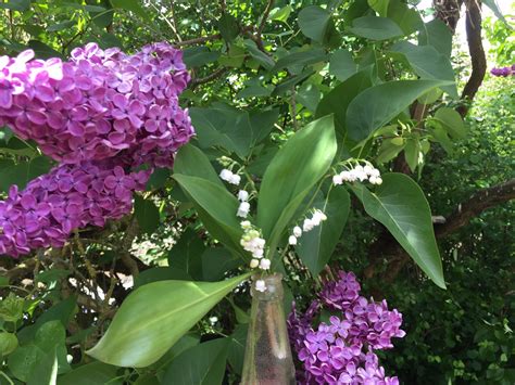 aujourd’hui, voyage… ROAD TRAIN MOVIE, tout le monde voyage ...