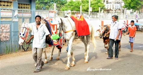 "Sampath Speaking" - the thoughts of an Insurer from Thiruvallikkeni ...