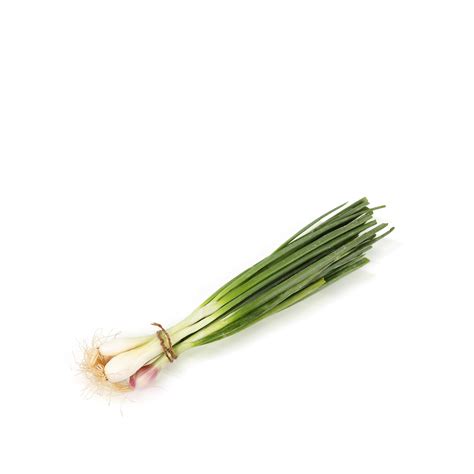 بصل أخضر الإمارات العربية المتحدة حزمة واحدة Spring Onion UAE 1 Bunch