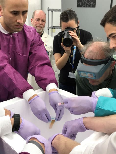 NASA sends human, bull sperms to ISS to test what happens when it gets ...