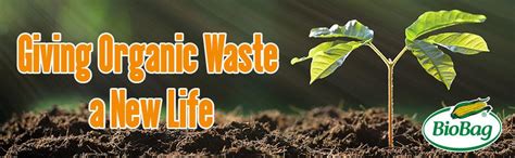 BioBag 100% Certified Compostable Resealable Sandwich Bags, 25 Count ...