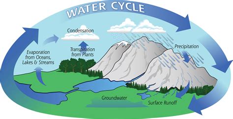 Accumulation Water Cycle