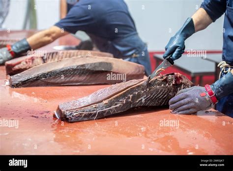 Image result for Fish processing Fish Canning Process