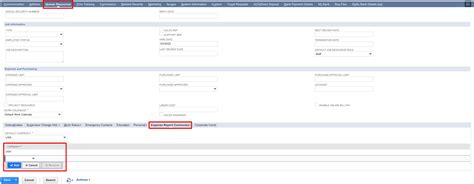 NetSuite Expense Report 的图像结果