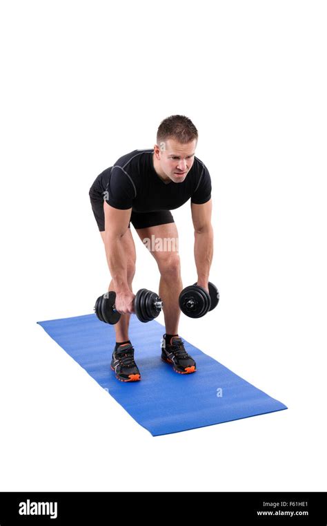 Image result for Bent Over Dumbell Flys Using Bench