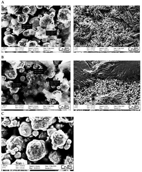 Novel Nanoarchitectures Based on Lignin Nanoparticles for ...