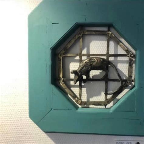 GALLERI ROVSING EJERSBO (2025) All You Need to Know BEFORE You Go (with ...