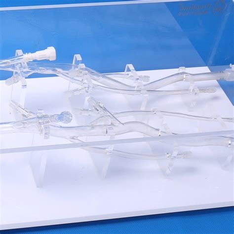 Image result for Multi Dynamic Vena Modeling