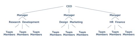 Functional Structure Company 的图像结果