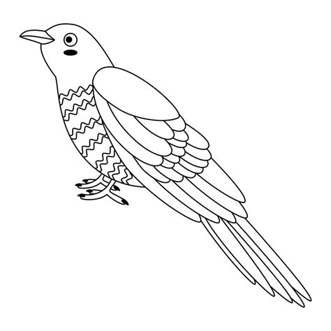 Cute, cartoon cuckoo bird. Line art. 23711315 Vector Art at Vecteezy
