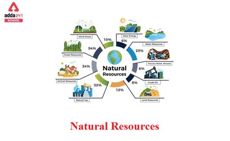 Types of Natural Resources Examples and Definition