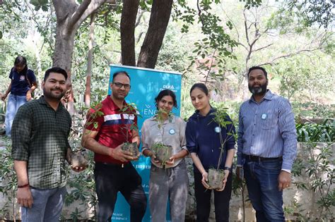 DLF Foundation