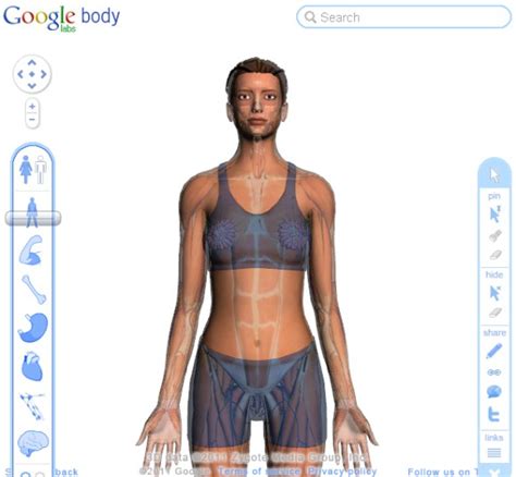 Image result for Most Viewed Internet Body