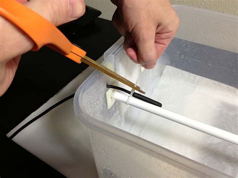 Green Tree Python Tub Setup 的图像结果