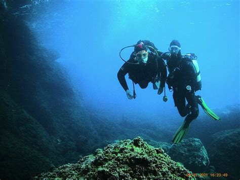 Evasion Plongée Saint Mandrier - Saint-Mandrier-sur-Mer | Tripadvisor