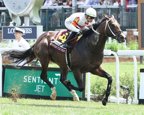 Exotics Plays for the 2024 Jaipur Stakes | TwinSpires