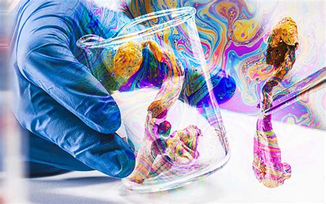 Psychedelic Science 的图像结果