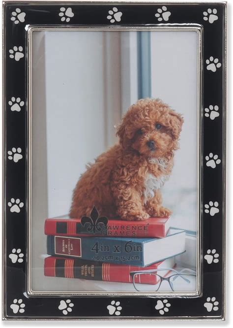 Amazon.com - SRADMO Dog Dad Gifts,Dog Dad Gifts for Men,Best Dog Dad ...