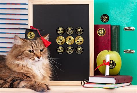 FLYAB 112pcs Graduation Candy Stickers Class of 2023 India | Ubuy