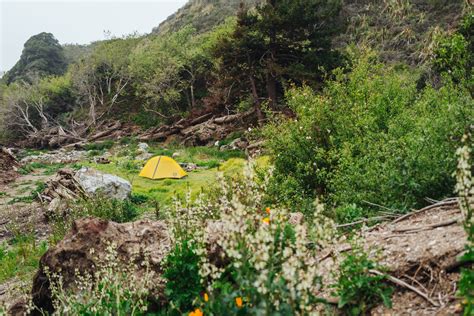 Arroyo Seco Campground in Los Padres National Forest, California ...