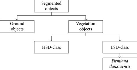 Authentic Classification Strategy Examples 的图像结果