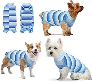 KUTKUT Recovery Suit for Puppy Cat Surgical Recovery Suit for Abdominal ...