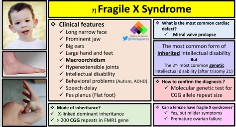 Fragile X Syndrome Inheritance