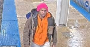 Woman stabbed at Chicago station in attack similar to Iryna's attack