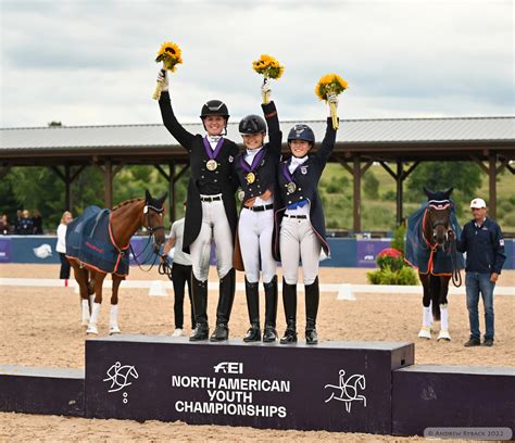 Image result for USDF Competitions