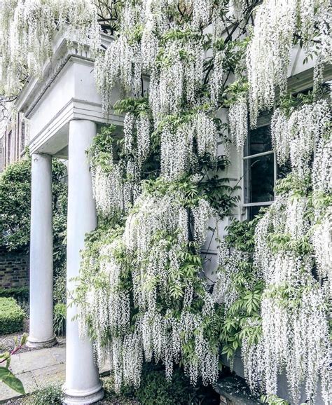 Pretty Little London on Instagram: “That feeling when you find out that ...